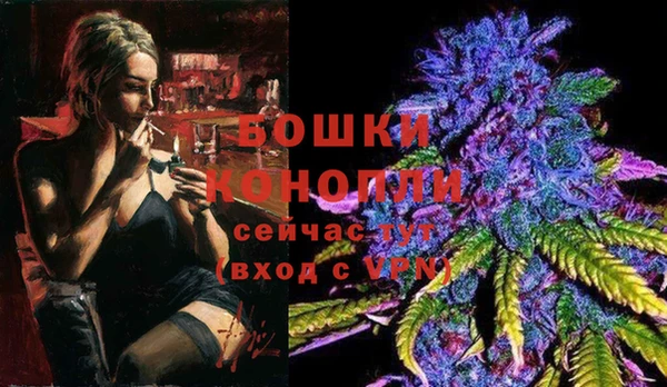 дурь Лабытнанги