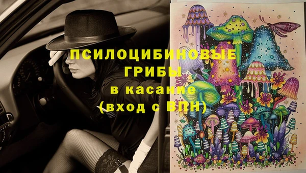 гидропоника Лагань
